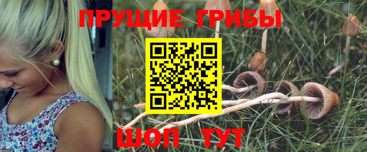 Псилоцибиновые грибы ЛСД  Галлюциногенные грибы Magic Shrooms  Балашиха  Вход с VPN 